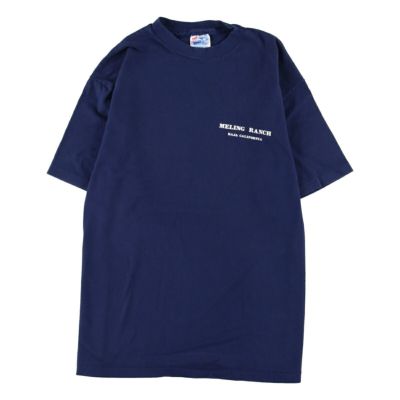 90年代 ヘインズ Hanes CHRIS LEDOUX クリスルドゥ 両面プリント バンドTシャツ バンT USA製 メンズL ヴィンテージ /eaa357381