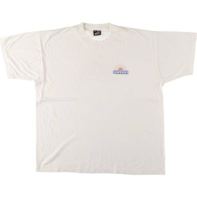 古着 90年代 フルーツオブザルーム FRUIT OF THE LOOM DANNON ダノン バックプリント アドバタイジングTシャツ USA製 メンズXL相当 ヴィンテージ /eaa543463 【中古】 【250430】