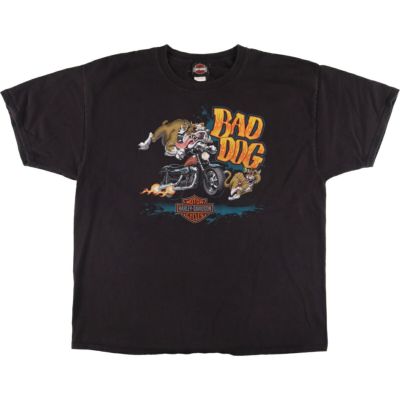 Harley Davidson - 古着 ハーレーダビッドソン Harley-Davidson モーターサイクル バイクTシャツ リンガーT USA製 レディースL相当 /eaa543082 古着 ハーレーダビッドソン Harley-Davidson モーターサイクル
