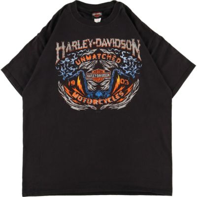 古着 ヘインズ Hanes Harley-Davidson ハーレーダビッドソン 両面 ...