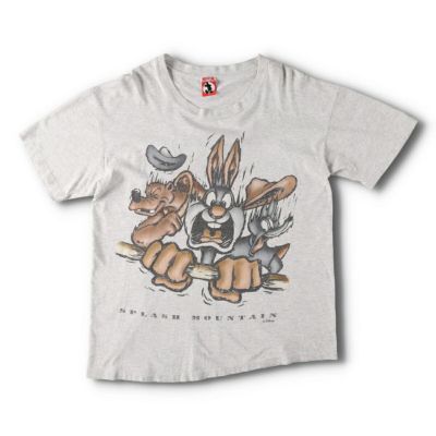 スプラッシュマウンテン　Tシャツ　ディズニー　タイダイ　ミッキー　ドナルド　古着 ディズニー USA製90s スプラッシュマウンテンTシャツ タイダイ