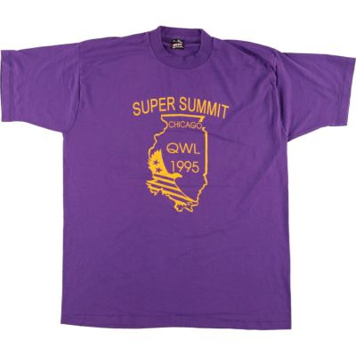 古着 90年代 フルーツオブザルーム FRUIT OF THE LOOM プリントTシャツ USA製 メンズXL ヴィンテージ /eaa456178 【中古】 【240616】