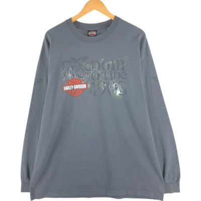 古着 90年代 フルーツオブザルーム FRUIT OF THE LOOM oasis オアシス