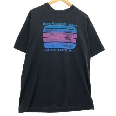 古着 80年代 ヘインズ Hanes Fifty-Fifty 青タグ プリントTシャツ USA製 メンズXL ヴィンテージ /eaa460188 【中古】 【240701】