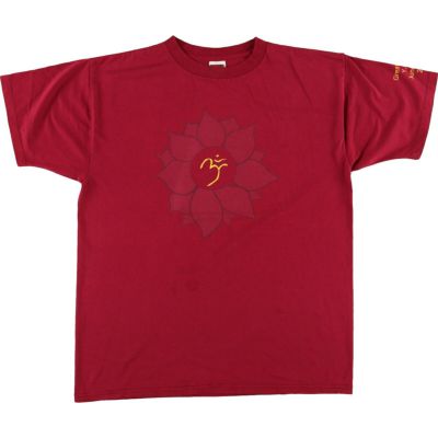 古着 00年代 フルーツオブザルーム FRUIT OF THE LOOM プリントTシャツ メンズL相当 /eaa429471 【中古】 【240726】