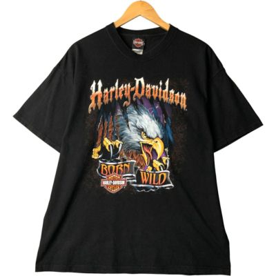 vintage ヘインズ　ハーレーダビッドソン　Tシャツ 古着 00年代 ハーレーダビッドソン Harley-Davidson Hanes