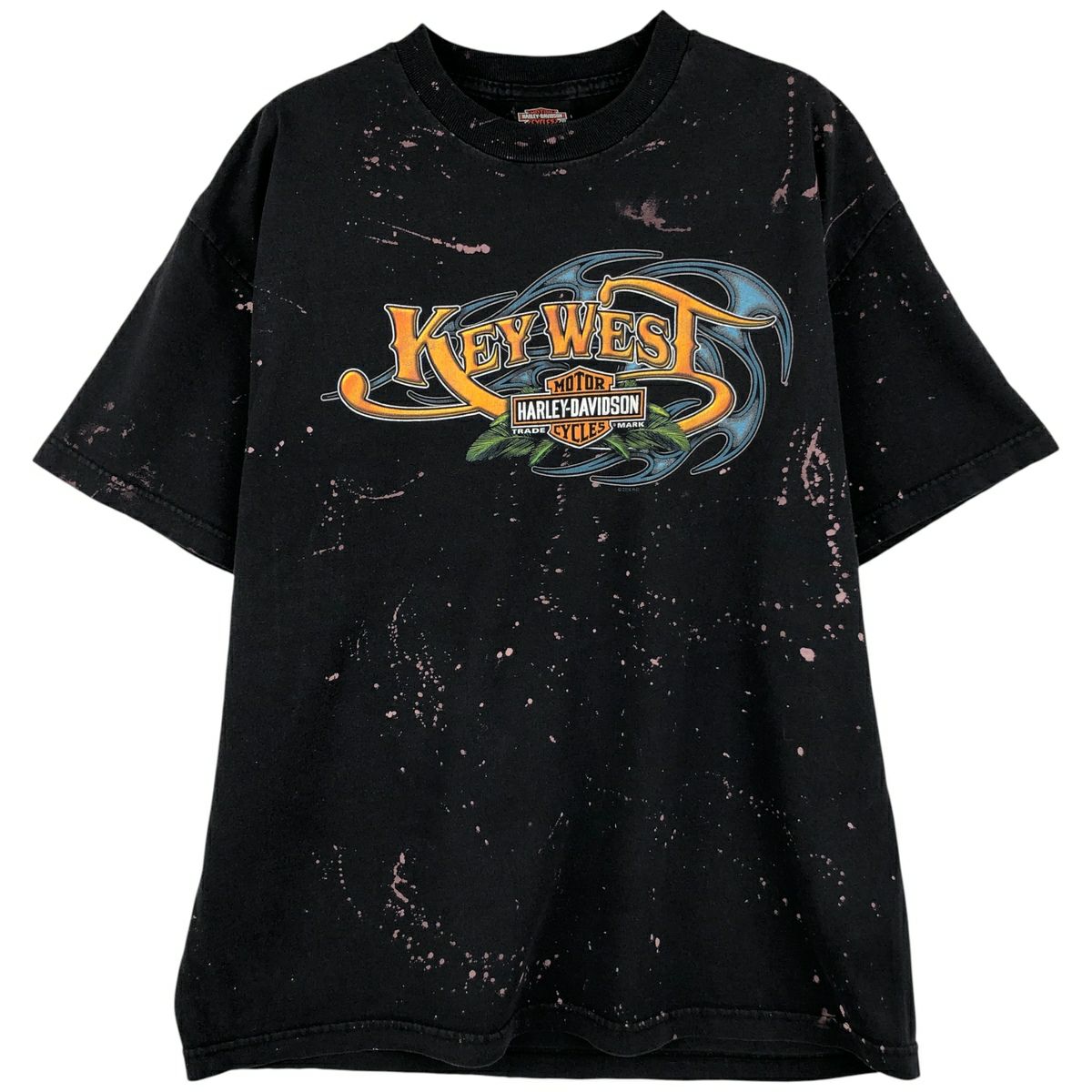 古着 ハーレーダビッドソン Harley-Davidson ピンナップガール