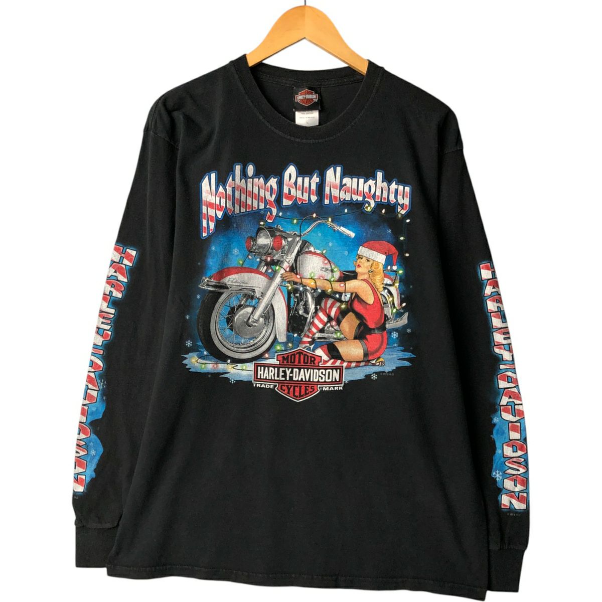 古着 ハーレーダビッドソン Harley-Davidson ピンナップガール