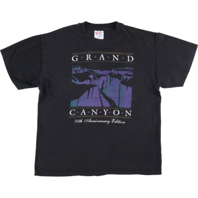 希少レア　ヘインズ　90s TRIUMPH ロングスリーブ Tシャツ 希少レア ヘインズ 90s TRIUMPH ロングスリーブ Tシャツ 希少