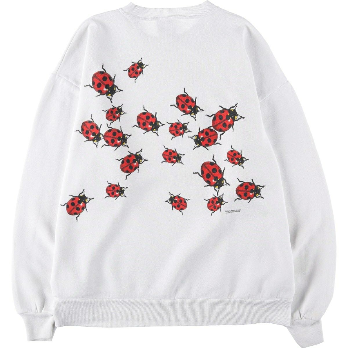 古着 90年代 ジャージーズ Jerzees てんとう虫柄 アニマル スウェット