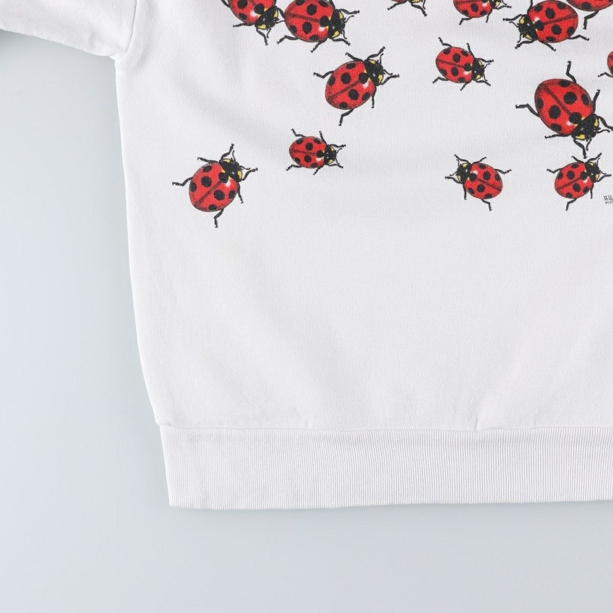 古着 90年代 ジャージーズ Jerzees てんとう虫柄 アニマル スウェット