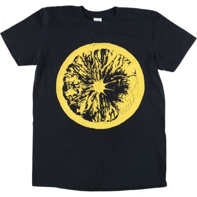 古着 ギルダン GILDAN Softstyle THE STONE ROSES ザ ストーン