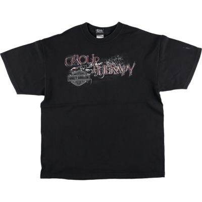 古着 00年代 ハーレーダビッドソン Harley-Davidson 熊柄 Hanes ヘインズ モーターサイクル バイクTシャツ USA製 メンズXL相当 /eaa523510 【中古】 【250223】