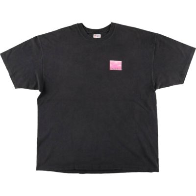 古着 90年代 ヘインズ Hanes プリントTシャツ USA製 メンズXXL相当 ヴィンテージ /eaa489194 【中古】 【250308】