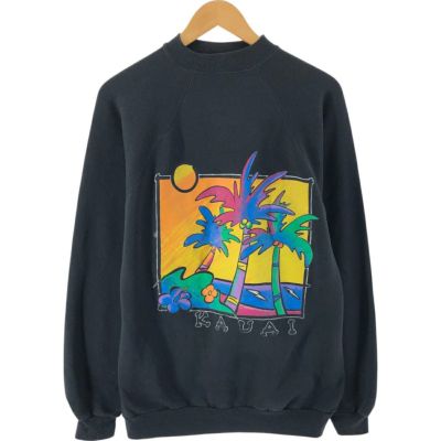 古着 90~00年代 ヘインズ Hanes ACTIVEWEAR プリントスウェット 古着 90~00年代 ヘインズ Hanes ACTIVEWEAR プリントスウェット