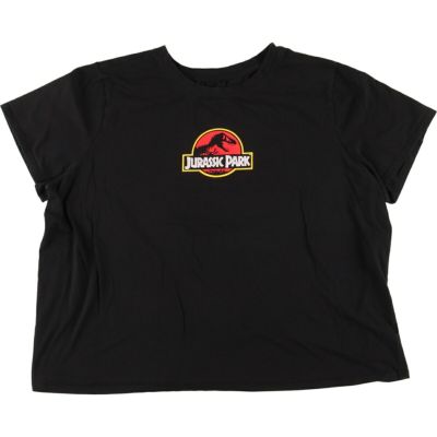 古着 90年代 JURASSIC PARK ジュラシックパーク 映画 ムービーTシャツ