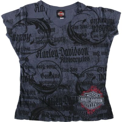 古着 ハーレーダビッドソン Harley-Davidson Vネック モーターサイクル バイクTシャツ レディースXXL相当 /eaa536999 【中古】 【250410】 【Elulu/エルル】