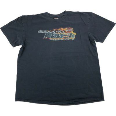 古着 ハーレーダビッドソン Harley-Davidson 鷲柄 イーグル柄 ファイヤーパターン モーターサイクル バイクTシャツ メンズXXL相当 /eaa540440 【中古】 【250421】