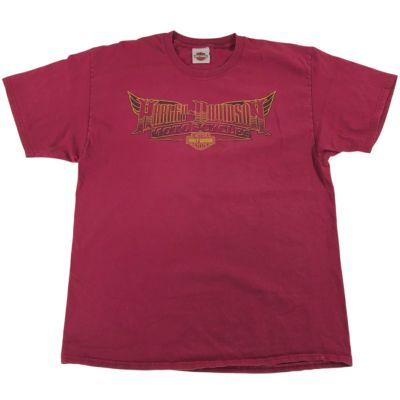 古着 ハーレーダビッドソン Harley-Davidson Hanes ヘインズ モーターサイクル バイクTシャツ メンズXL相当 /eaa540447 【中古】 【250421】