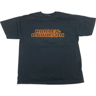 古着 00年代 ハーレーダビッドソン Harley-Davidson モーターサイクル バイクTシャツ メンズL相当 /eaa540429 【中古】 【250421】
